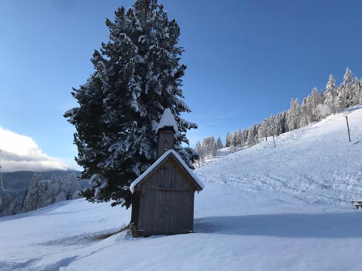 Wohlfuhlpension Kreischberg Sankt Georgen ob Murau Exterior photo